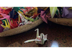 多文化共生・国際交流に関する寄稿・情報提供の募集について（長崎通信社）