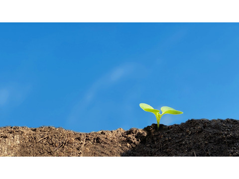 長崎通信社／長崎通信社、国際企業情報：Crunchbaseに掲載される