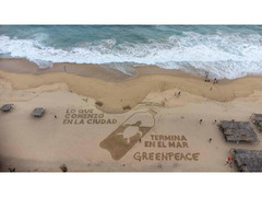 正職員募集：グローバル・キャンペーン担当（環境プロジェクト企画・運営）