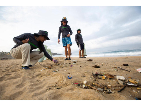 正職員募集：ジュニア・キャンペーナー（グローバル・キャンペーン担当）