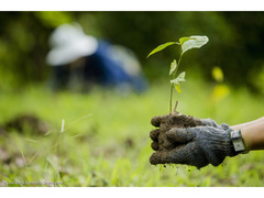 正職員募集：ジュニア・キャンペーナー（グローバル・キャンペーン担当）