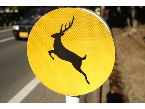 「鹿に注意」の道路標識
