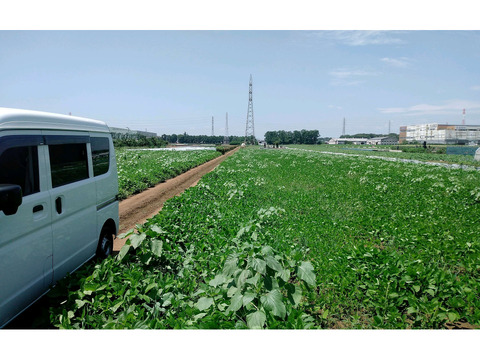 静岡県東部の耕作放棄地を探しています。
