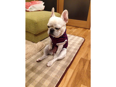 ★★★　２３日通常開催予定です　★★★