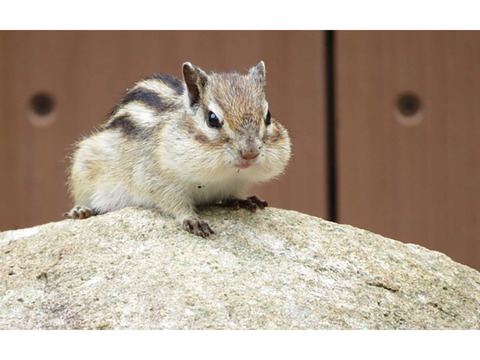 ★★★　　10月３０日　月ラス開催予定です　★★★