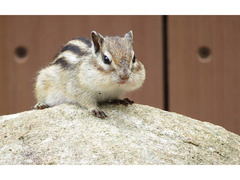 ★★★　　10月３０日　月ラス開催予定です　★★★