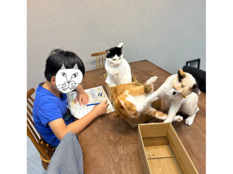 ★★★　12月11日　通常開催予定です　★★★