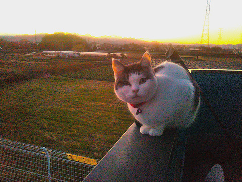 ★★★　１８日　通常　もしかして2025-LASTかも？　★★★