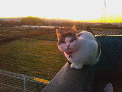 ★★★　１８日　通常　もしかして2025-LASTかも？　★★★