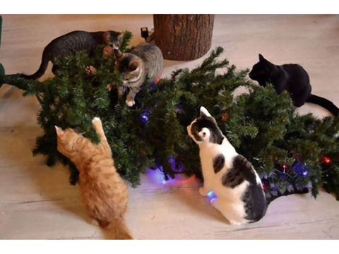 ★★★　2025年　ガチ★LAST  イブ25日　開催　★★★