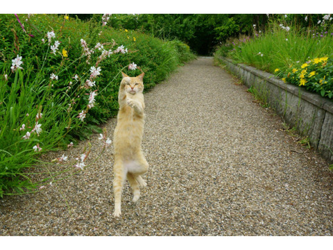 ★★★　15日開催です　次回は３月８日となります　★★★