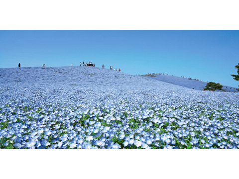 ★★★　4月9日　通常開催予定です　　★★★