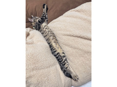 ★★★　９月 ３日は通常開催予定です　★★★